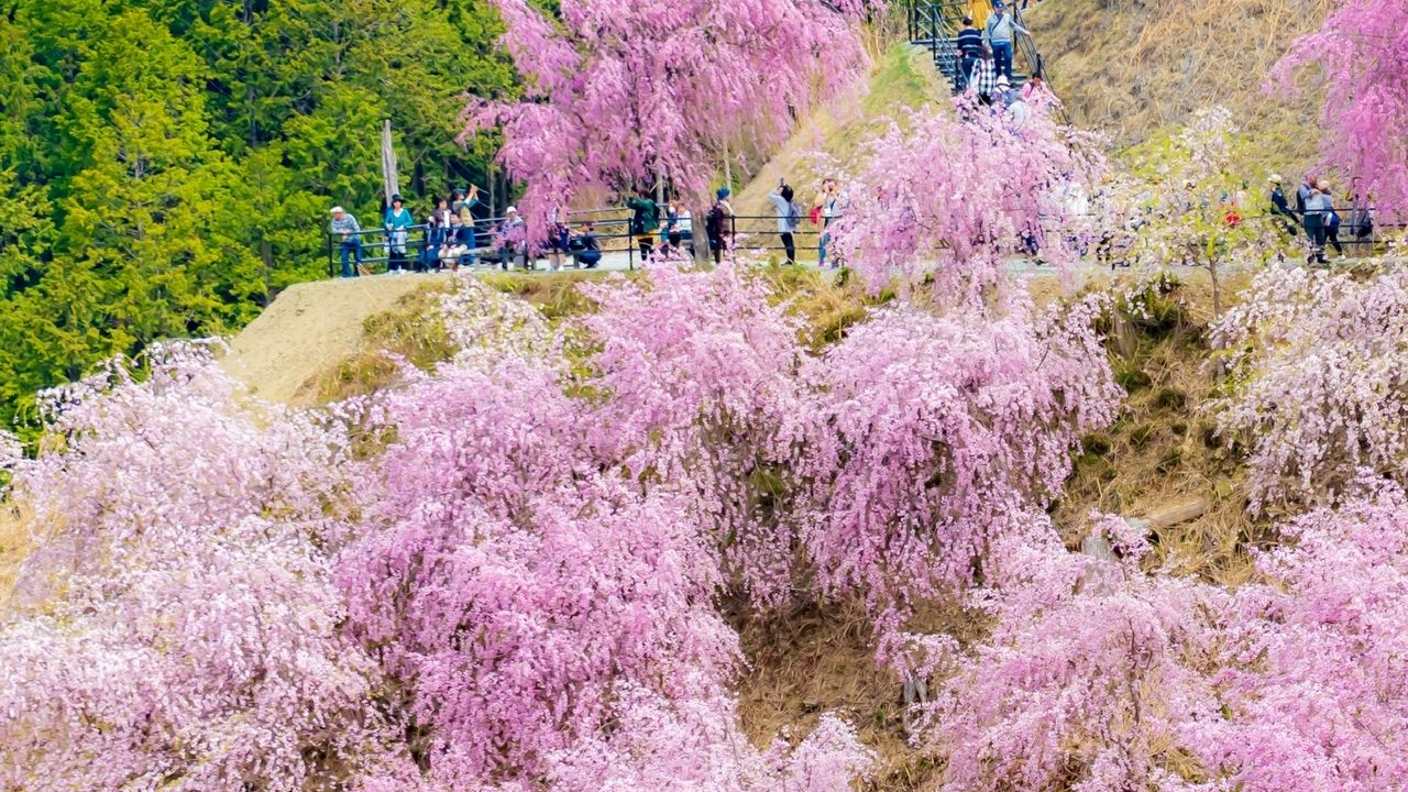 高見の郷