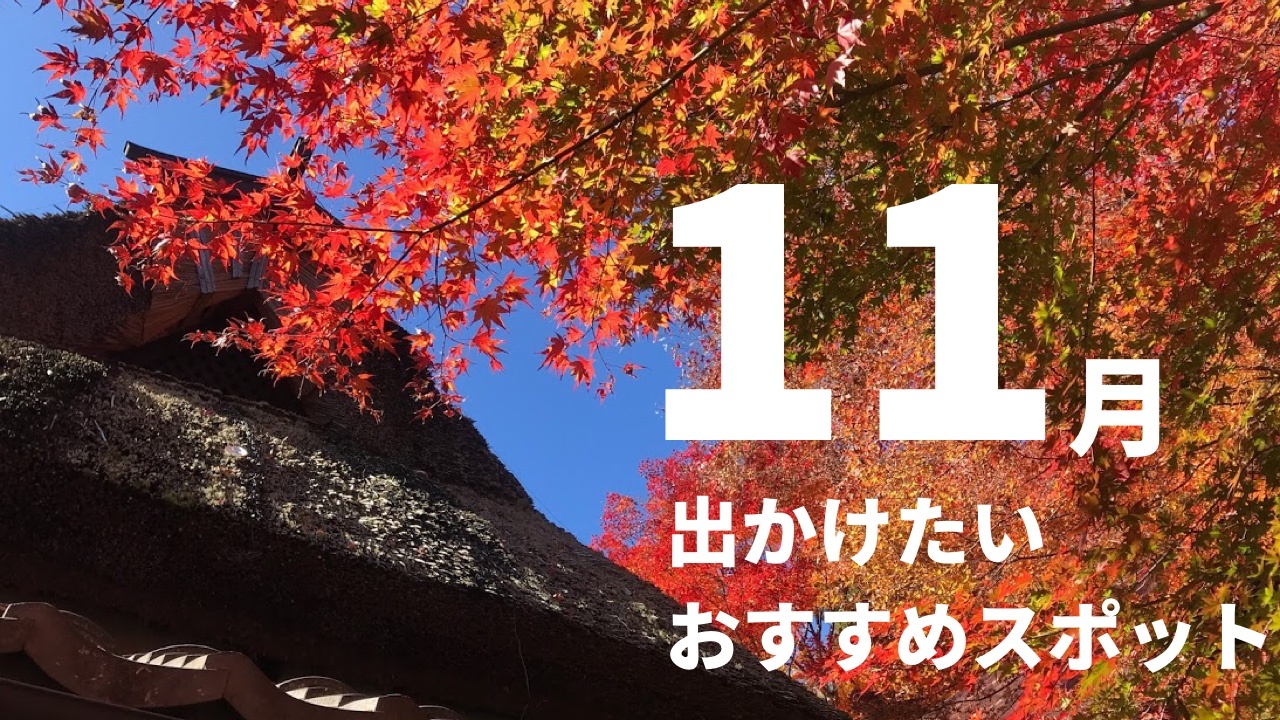 ２０２０年 １１月に出かけたい関西オススメの日帰りドライブスポット 関西のドライブならルートリップ Rootripー