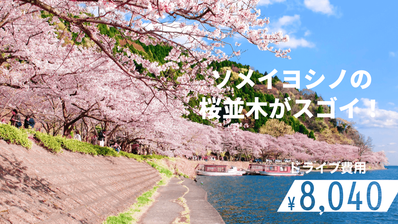 滋賀 大阪から車で 海津大崎とメタセコイヤの並木道へ日帰りドライブ 関西のドライブならルートリップ Rootripー